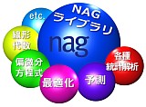 <i>n</i>AG Lib Image